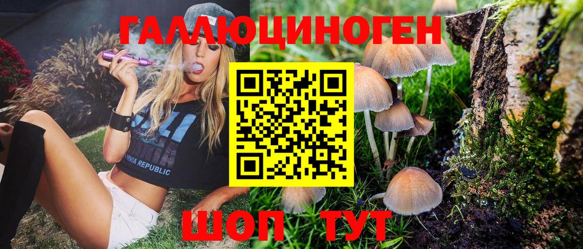 Галлюциногенные грибы Magic Shrooms  Псилоцибиновые грибы мицелий  Звенигород  Вход с VPN 