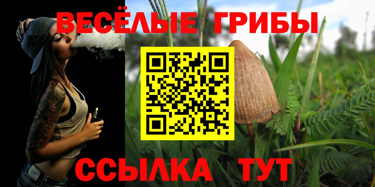 Псилоцибиновые грибы Psilocybe Звенигород